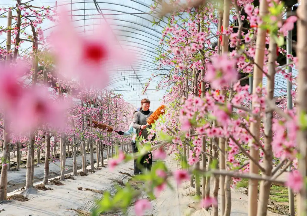 重庆粲然餐饮管理有限公司食堂承包服务标准化运营体系解析