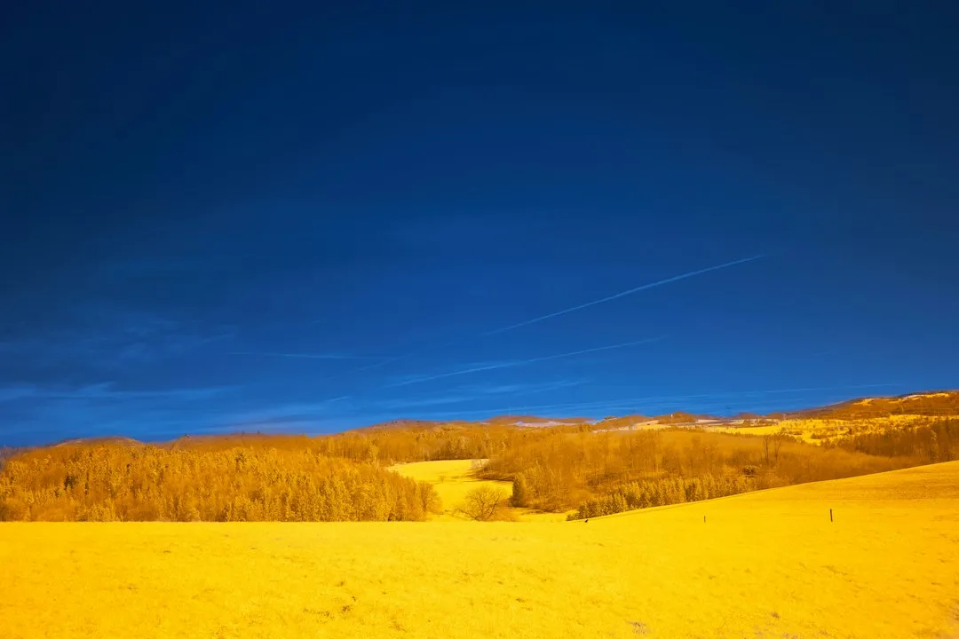 重庆粲然餐饮管理有限公司食堂承包服务流程与标准解析